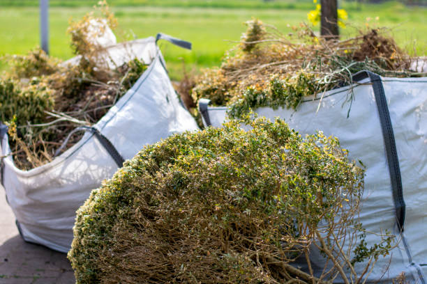 Trusted Briar, TX Junk Removal Services Experts